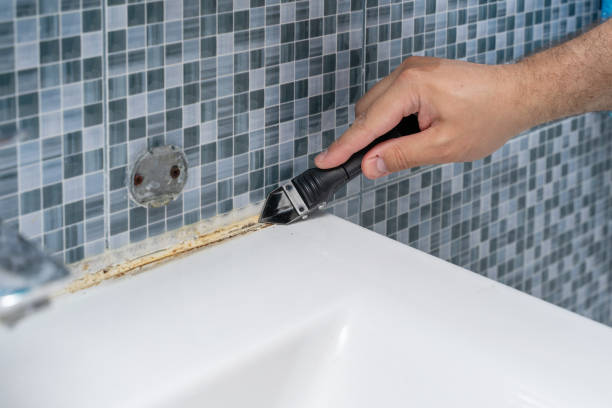 Best Professional Mold Removal  in Jackson, SC