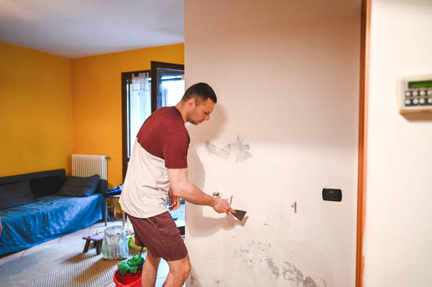Best Attic Mold Removal  in Jackson, SC